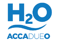 Accadueo Logo